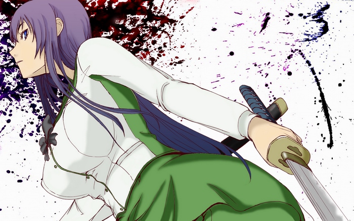 Saeko Busujima from Highschool of the Dead
