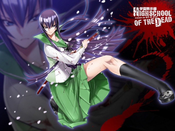 Saeko Busujima from Highschool of the Dead
