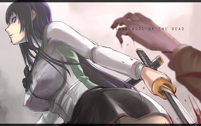 Saeko Busujima from Highschool of the Dead