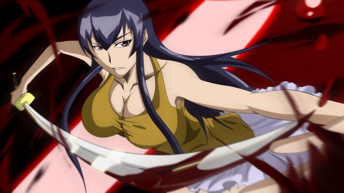Saeko Busujima from Highschool of the Dead