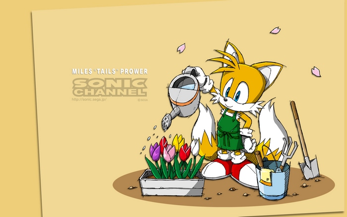 Miles "Tails" Prower from Sonic Channel watering tulips