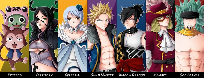 Fairy Tail characters: Exceeds, Territory, Celestial, Guild Master, Shadow Dragon, Memory, God Slayer