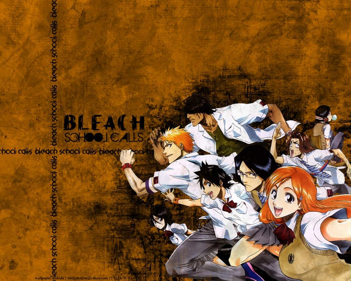 Bleach School Calls Anime Characters