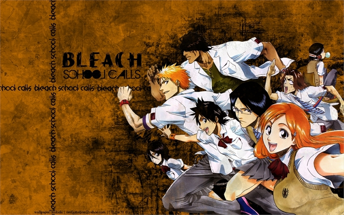 Bleach School Calls Characters