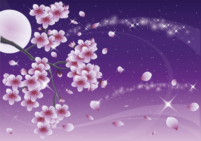 Cherry blossoms under a full moon and starry sky