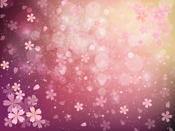 Pink cherry blossoms and bokeh lights