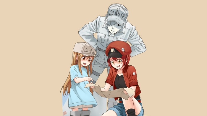 White Blood Cell, Red Blood Cell, and Platelet from Cells at Work!