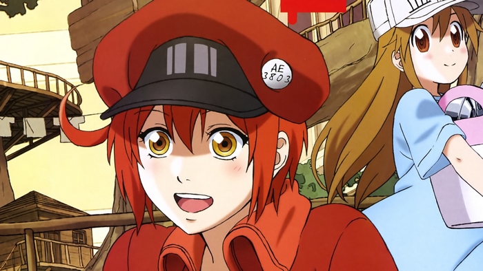 Red Blood Cell and White Blood Cell from Cells at Work!