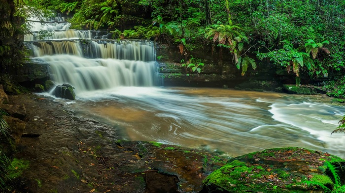 Cascading waterfall in a lush green forest