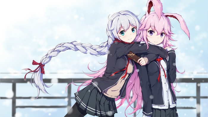 Kiana Kaslana and companion in winter