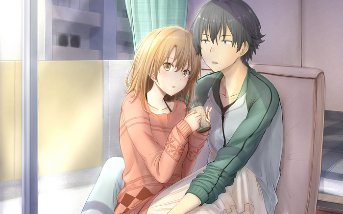 Cozy Moment Between Hikigaya Hachiman and Friend Indoors