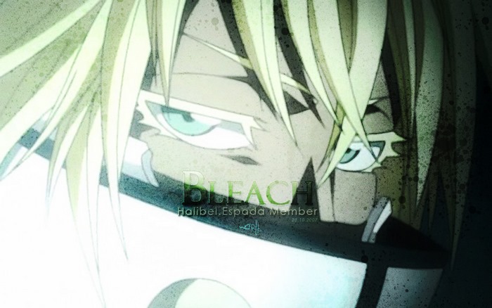 Tier Halibel from Bleach