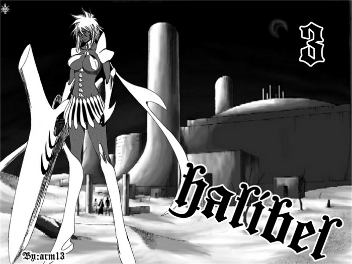 Tier Halibel from Bleach