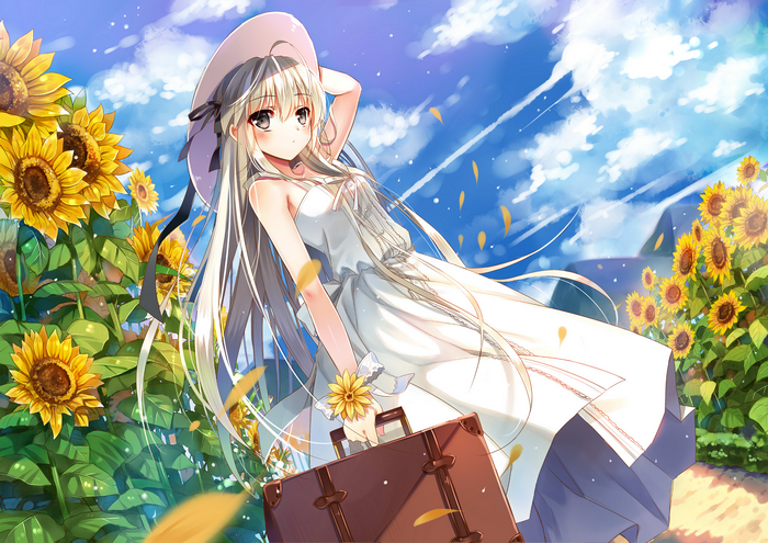 Sora Kasugano in a Sunflower Field