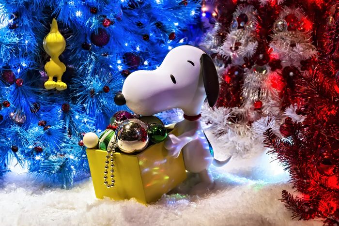 Snoopy with Christmas Ornaments