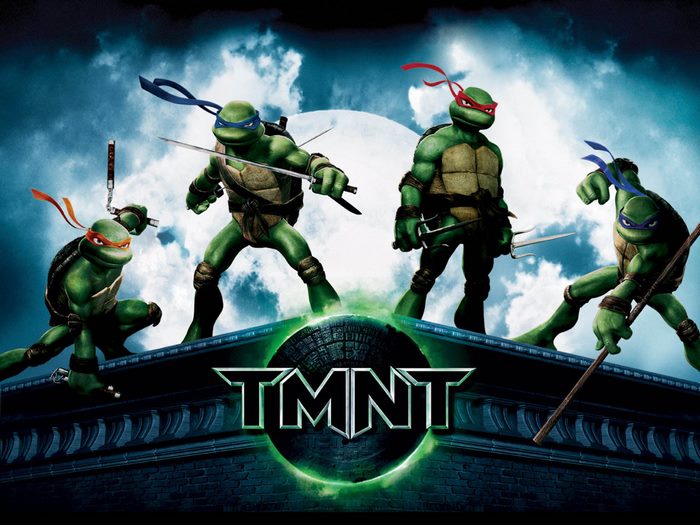 TMNT Teenage Mutant Ninja Turtles