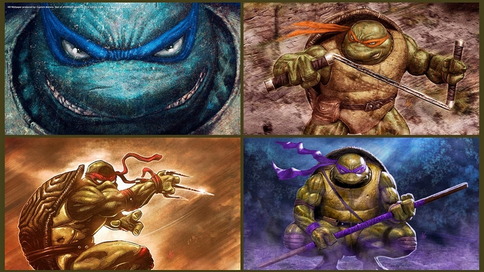 Teenage Mutant Ninja Turtles Collage