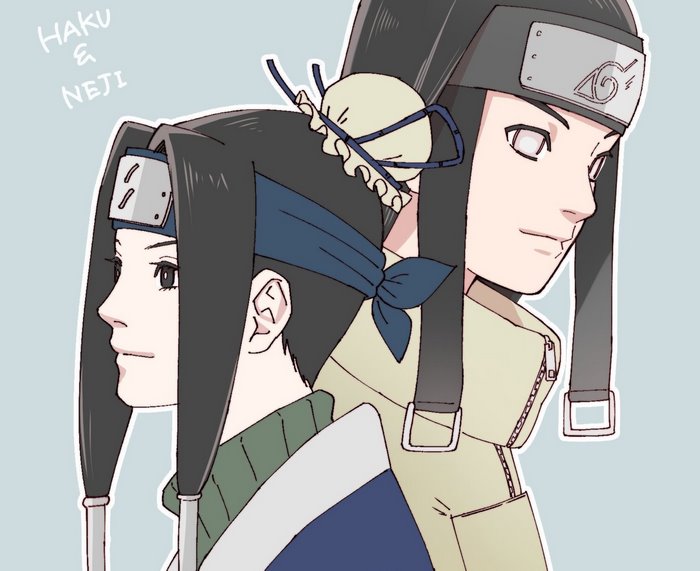 Haku and Neji from Naruto