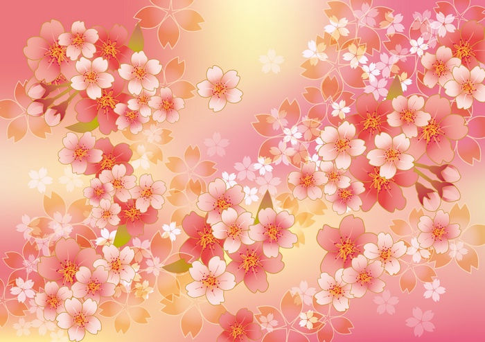 Pink cherry blossoms on a gradient background