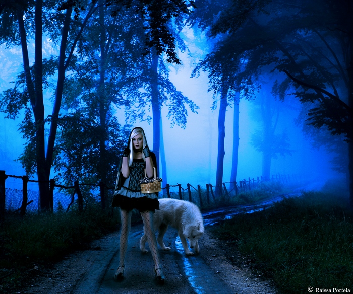 Red Riding Hood and wolf in a foggy forest
