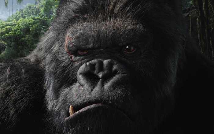 King Kong in Jungle