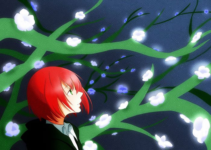 Chise Hatori in a magical forest