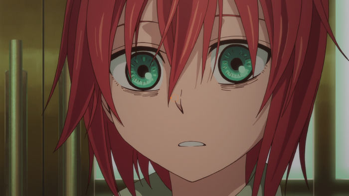 Chise Hatori from The Ancient Magus' Bride