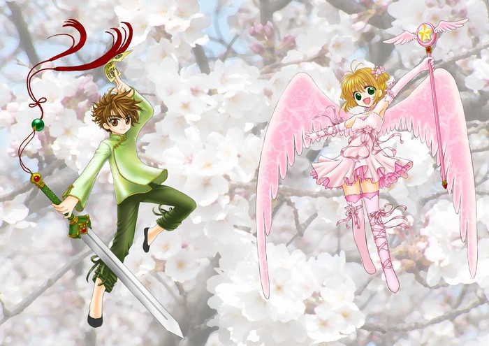 Sakura Kinomoto and Syaoran Li from Cardcaptor Sakura