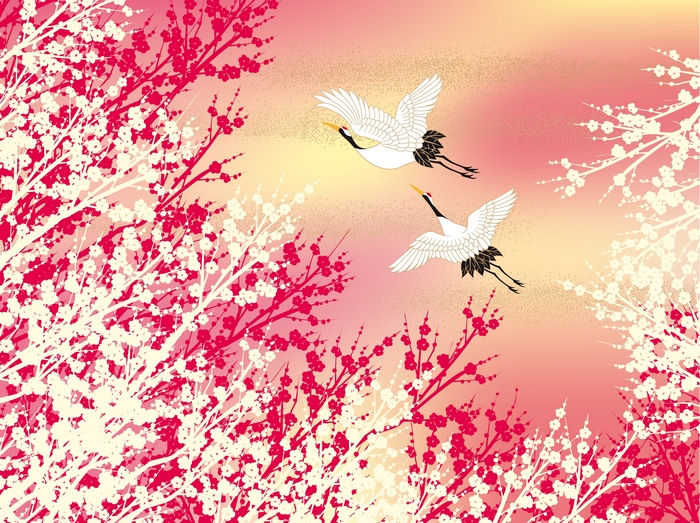 Two cranes flying among blooming cherry blossom trees