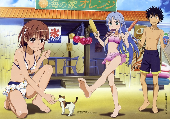 Mikoto Misaka and Accelerator from A Certain Magical Index