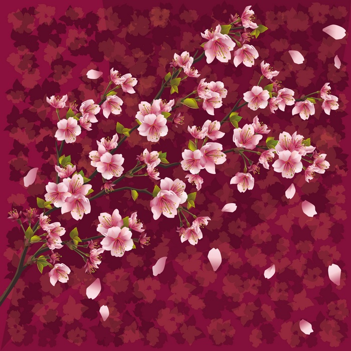 Cherry blossoms on a dark red background
