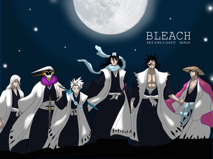 Bleach Midnight War characters under the moon