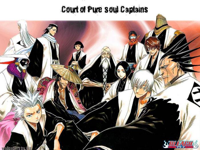Court of Pure Soul Captains from Bleach