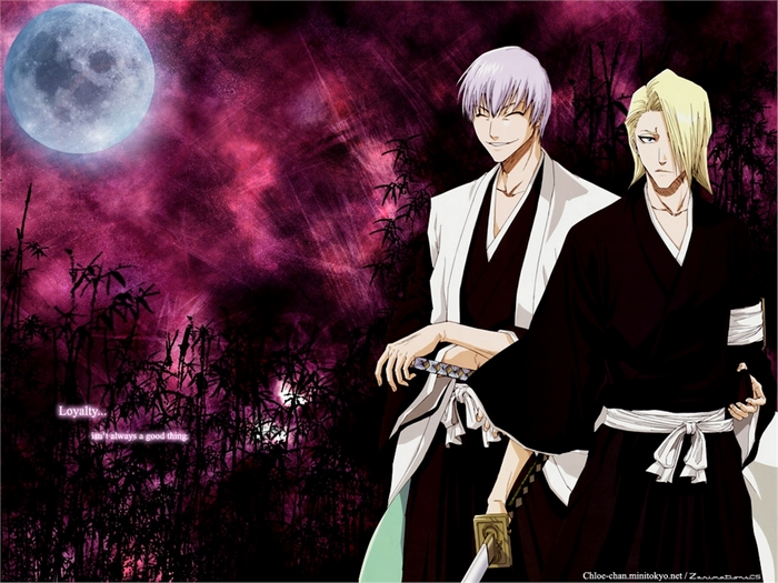 Izuru Kira and Gin Ichimaru from Bleach