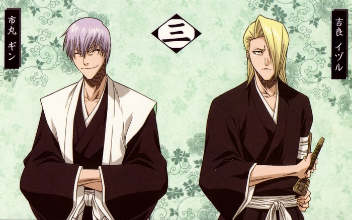 Gin Ichimaru and Izuru Kira from Bleach