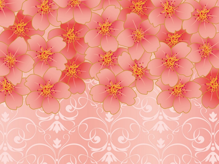 Pink cherry blossoms with ornate damask pattern