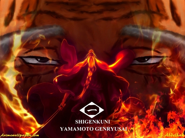 Genryūsai Shigekuni Yamamoto from Bleach