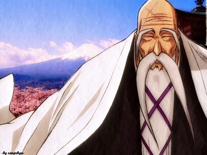 Genryūsai Shigekuni Yamamoto from Bleach