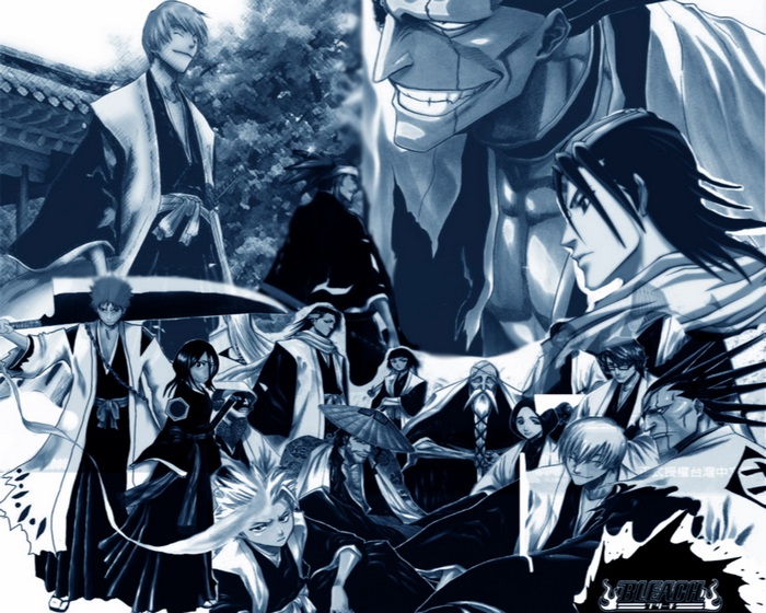 Bleach characters collage