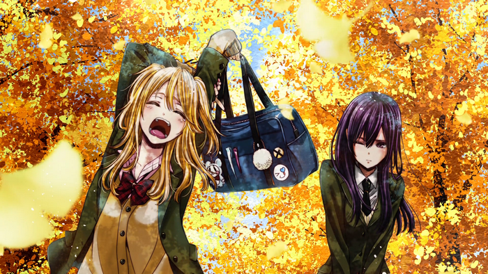Yuzu Aihara and Mei Aihara from Citrus