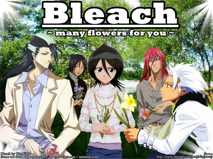 Bleach characters with flowers