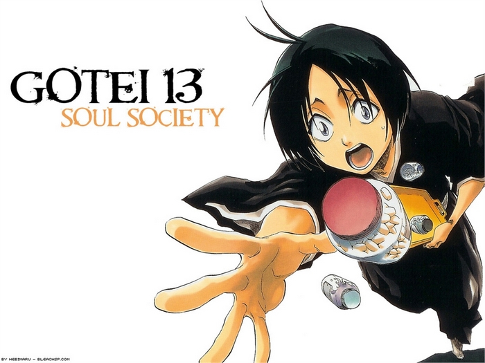 Hanataro Yamada from Bleach Gotei 13 Soul Society