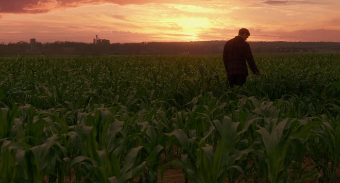 Clark Kent in a cornfield at sunset