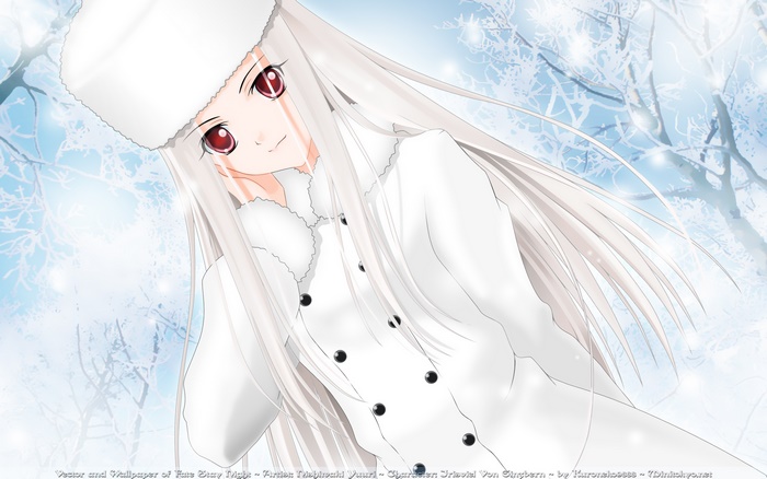 Irisviel Von Einzbern from Fate/Zero