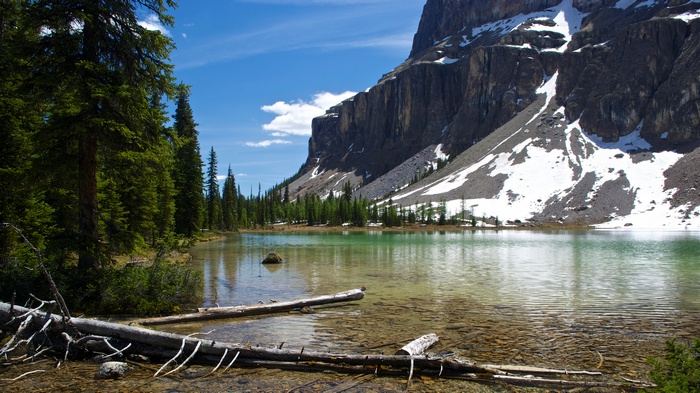 Lake and Mountains with Fallen Trees
