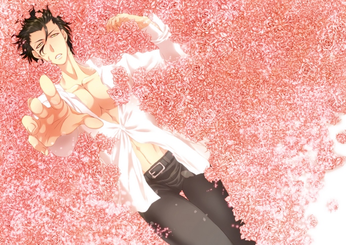 Lancer from Fate/Stay Night lying in roses
