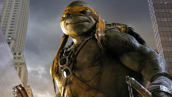 Michelangelo from Teenage Mutant Ninja Turtles
