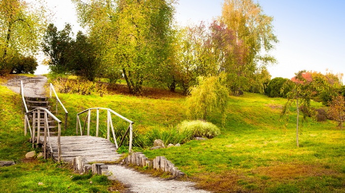Wooden bridge and stairs in a park with autumn trees