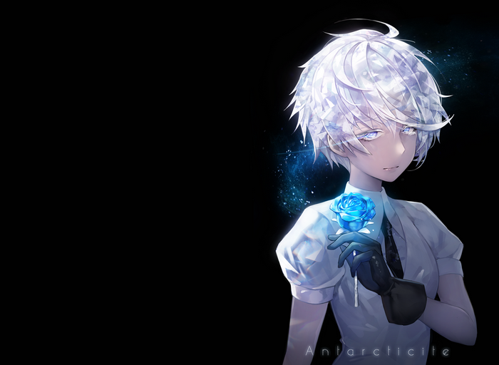 Antarcticite from Houseki no Kuni holding a blue rose