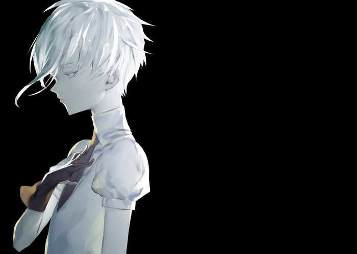 Antarcticite from Houseki no Kuni